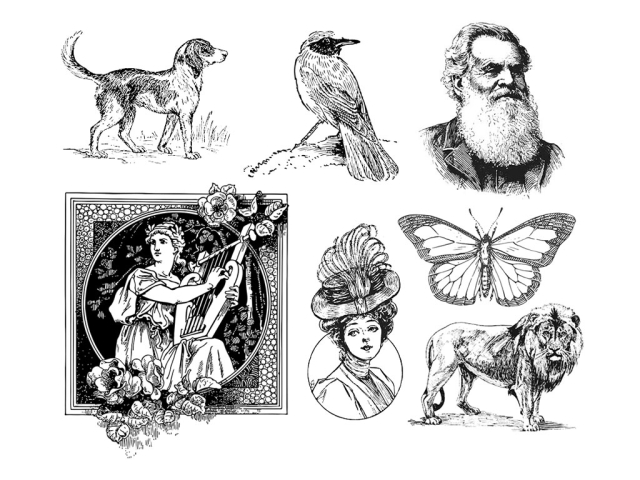 免費(fèi) 2D/3D 激光蝕刻機(jī)的激光雕刻矢量文件 免費(fèi) 2D/3D 激光蝕刻機(jī)的激光雕刻矢量文件